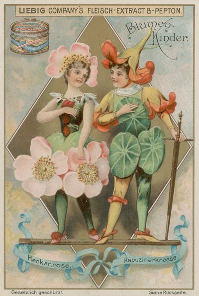 Rosa Silvestre y Capuchina de European School