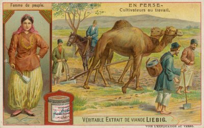 Mujer y Agricultores Trabajando de European School
