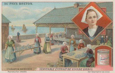 Mujeres preparando sardinas de European School