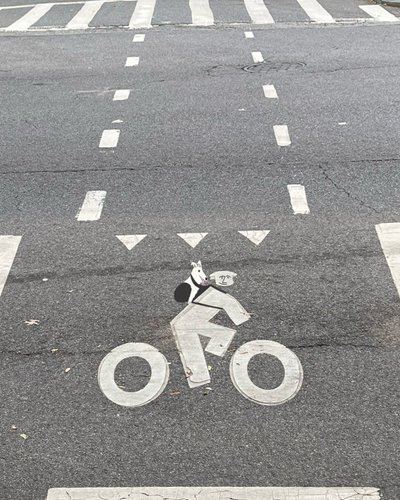 Señalización de carril bici en la calle (arte digital) de Evan Sklar
