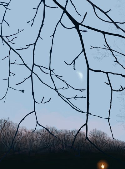 Ramas, amanecer, Prospect Park (arte digital) de Evan Sklar