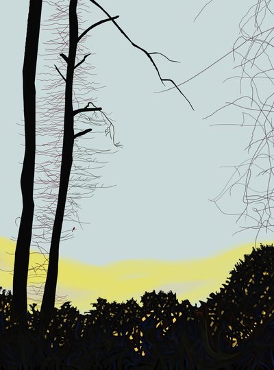 Cardenal en el árbol (arte digital) de Evan Sklar