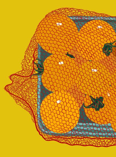 Tomates cherry en contenedor (arte digital) de Evan Sklar