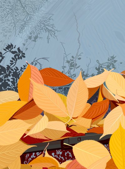 Hojas de cerezo caídas en el parabrisas del coche (arte digital) de Evan Sklar