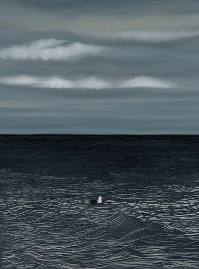 Gaviota flotando en el agua y cielo tormentoso (arte digital) de Evan Sklar