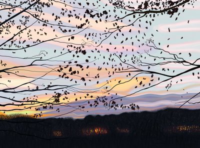 Hawk On Branch, prospect park (arte digital) de Evan Sklar