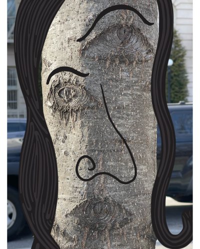 Ilustración de la cara de un árbol mediante fotografía y dibujoi Brooklyn (arte digital) de Evan Sklar