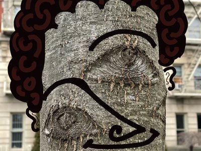 Ilustración de la cara de un árbol mediante fotografía y dibujoi Brooklyn (arte digital) de Evan Sklar