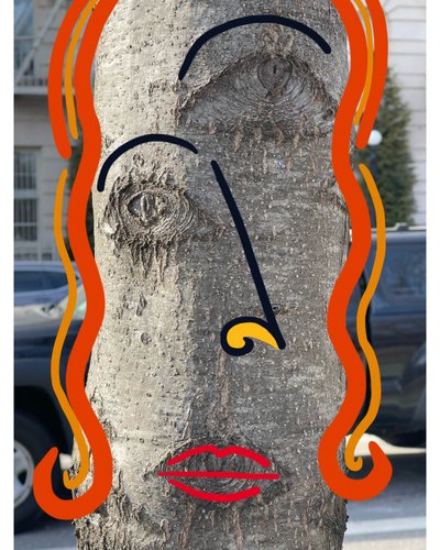 Ilustración de la cara de un árbol mediante fotografía y dibujoi Brooklyn (arte digital) de Evan Sklar