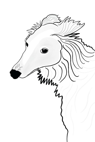 Dibujo lineal de Silken Windhound (arte digital) de Evan Sklar
