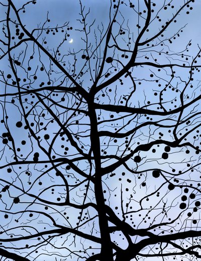 London PlaneTree y Moon, Brooklyn (arte digital) de Evan Sklar