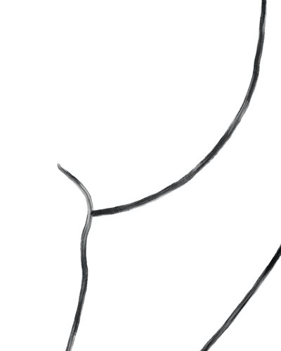 Desnudo. (arte digital) de Evan Sklar