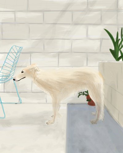 Penny On The Back Porch 2017 (dibujado a mano en un iPad con un lápiz Apple) de Evan Sklar