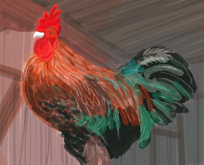 Gallo en el granero, 2018 (dibujado a mano en un iPad con un lápiz de Apple) de Evan Sklar