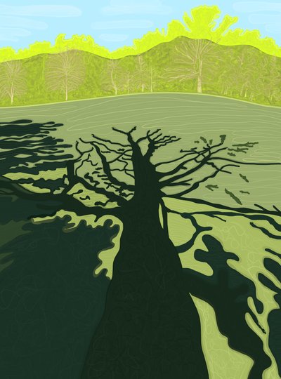 Sombra de árbol en el campo, Brooklyn (arte digital) de Evan Sklar