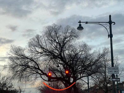 Árbol sonriente y semáforos. Brooklyn (arte digital) de Evan Sklar