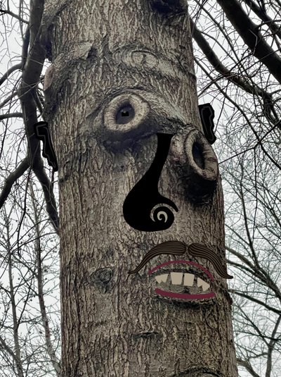 Cara de árbol , c.2020-24 (arte digital) de Evan Sklar