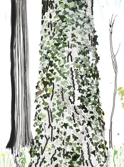 Árbol con hiedra (arte digital) de Evan Sklar