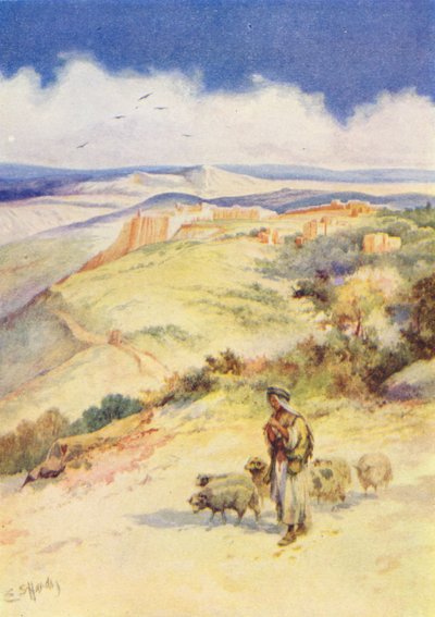  de Evelyn Stuart Hardy