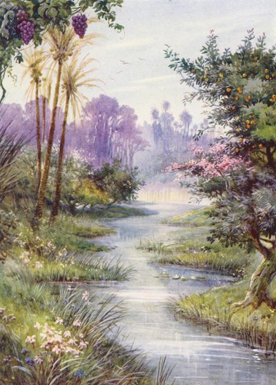  de Evelyn Stuart Hardy