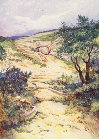 de Evelyn Stuart Hardy
