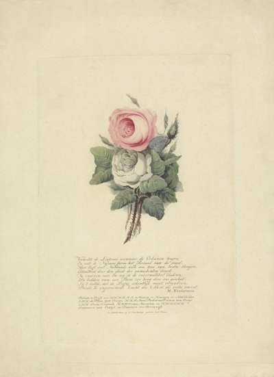 Rosas con siluetas de la familia real, 1816 de Evert Maaskamp