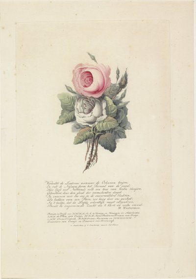 Rosas con retratos en silueta de Guillermo I Federico, rey de los Países Bajos, Guillermina de Prusia, sus hijos, su madre y su hermana de Evert Maaskamp