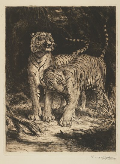 Dos tigres de Evert van Muyden
