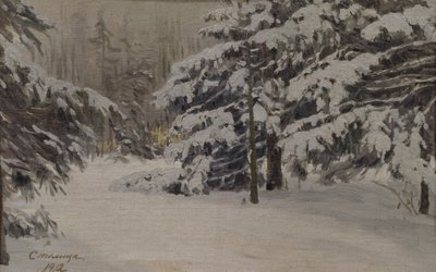 Invierno en las islas de San Petersburgo de Evgeni Ivanovich Stolitsa