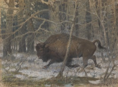 El bisonte de los bosques de Evgeny Alexandrovich Tichmenev