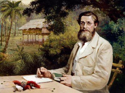 Alfred Russel Wallace (óleo sobre lienzo) de Evstafieff Evstafieff