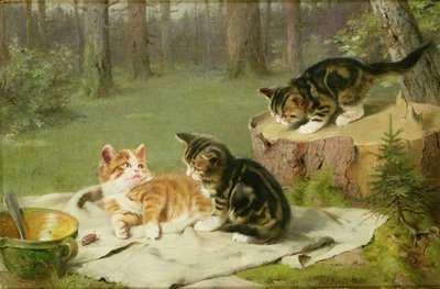 Gatitos jugando de Ewald Honnef