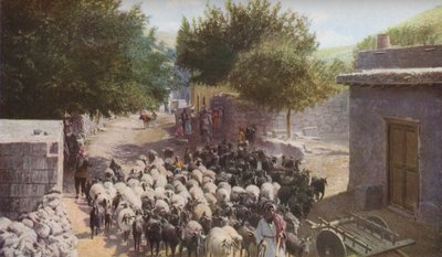 Palestina, c1930s de Ewing Galloway