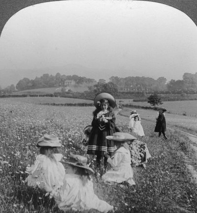 Niños en un prado, Keswick, Cumbria de Excelsior Stereoscopic Tours