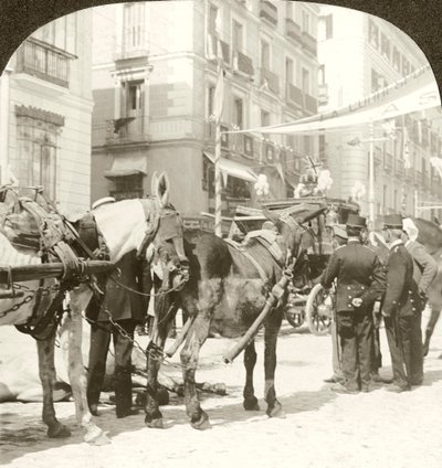 Coche de Estado, Calle Mayor, Madrid de Excelsior Stereoscopic Tours