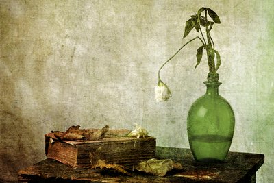 Libro antiguo «La rosa marchita» de Eyal Amer