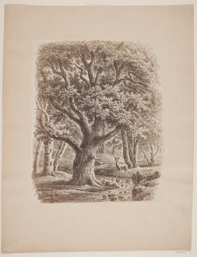 Interior del bosque con un arroyo y un ciervo de F.C. Kiærskou