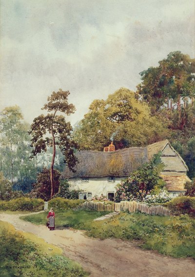 Una cabaña en el campo de F.H. Tyndale