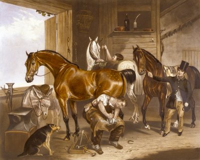 El Veterinario de F. C. (after) Turner