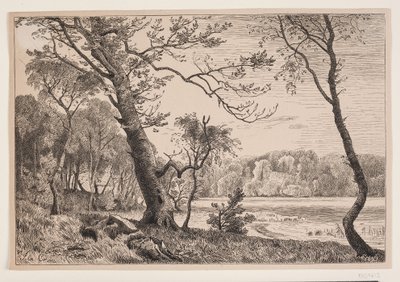 El bosque cerca de Silkeborg hacia el banco de la señora de F. Hendriksen