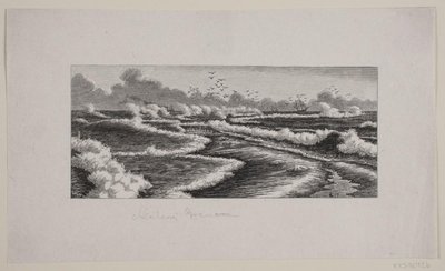Skagens Gren de F. Hendriksen
