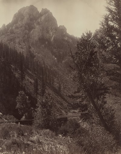 Sin título, c. 1884 de F. Jay Haynes