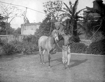 Hombre con un caballo, Alipore, India, 1905-1906 de F. L. Peters
