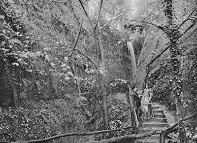 Shanklin Chine, c. 1896 de F. N. Broderick
