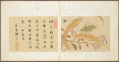 Álbum de Temas Misceláneos, Hoja 7, 1600s de Fan Qi