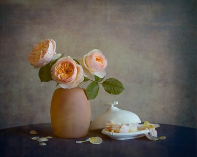  de Fangping Zhou