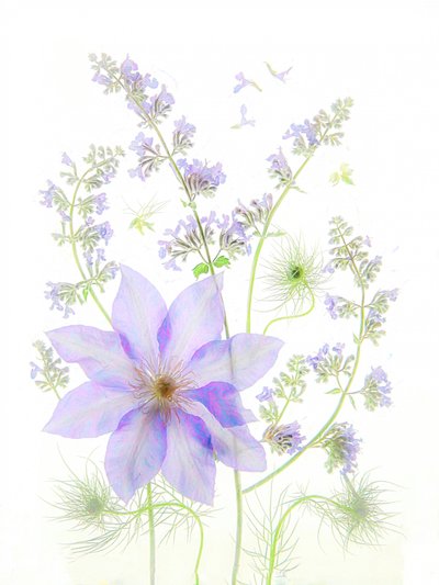  de Fangping Zhou