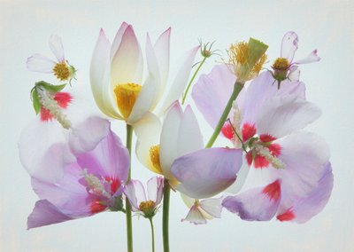  de Fangping Zhou