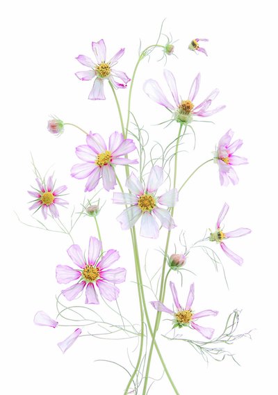  de Fangping Zhou