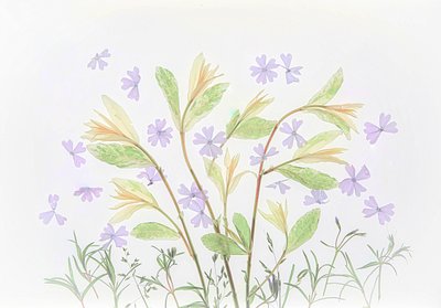  de Fangping Zhou
